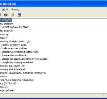 Windows XP i Vista rzadko wykazują się nowoczesnymi aplikacjami, za to przeważnie są przejrzyste – jak np. w przypadku Menedżera sprzętu.