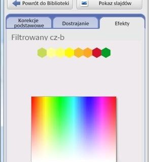 Program Picasa pozwala na łatwą zmianę zdjęć w czarno-białe z dodatkową symulacją wykorzystania filtrów barwnych.