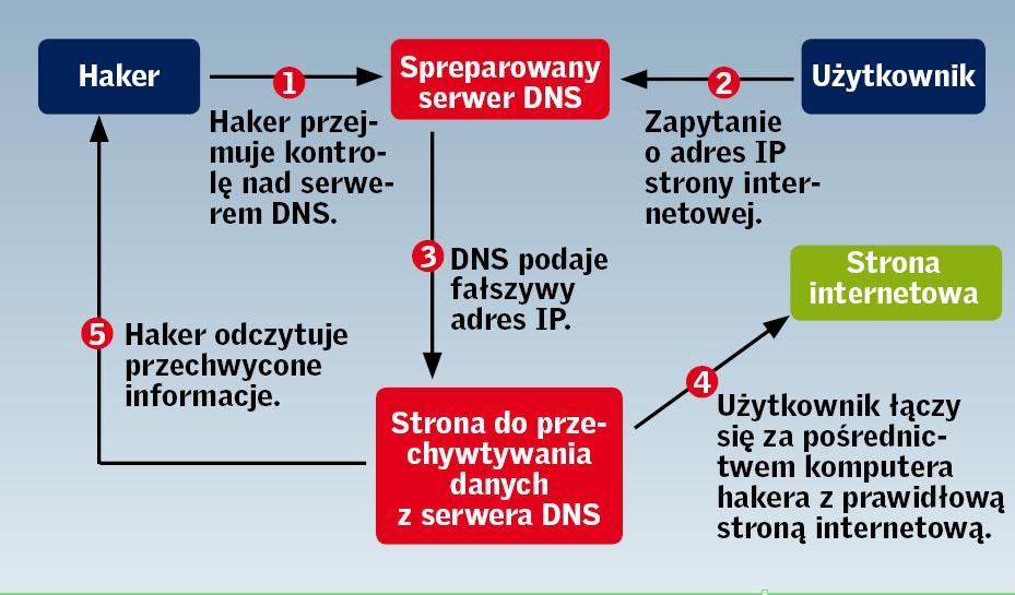 Ataki, bez szans na obronę