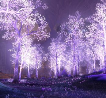 Silnik graficzny World of Warcraft to nieznacznie zmodyfikowany engine Warcrafta III, co nie przeszkadza mu w generowaniu przepięknych krain