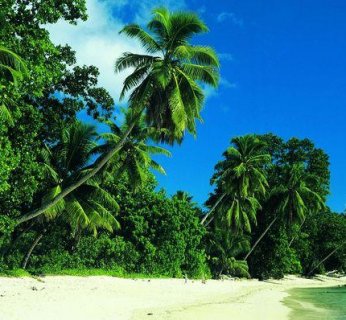 3% podatek - Władze Antigui również pobierają podatek od wygranych na loterii. W porównaniu z 45% ściąganymi przez polski Skarb Państwa wydaje się na prawdę symboliczny.