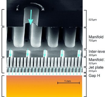 naczynia włosowate, przez które rozprowadzana jest ciecz chłodząca.