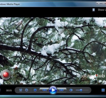 windows media player 12