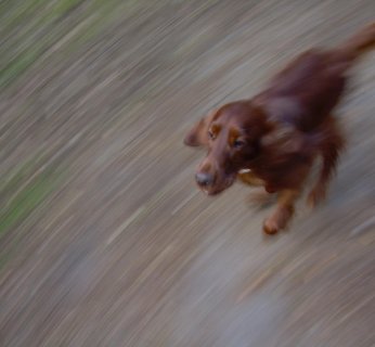 filmowanie obiektów w ruchu