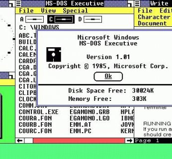Pierwsza edycja Windows nie cieszyła się uznaniem użytkowników. Dopiero Windows 3.x wstrząsnął rynkiem.