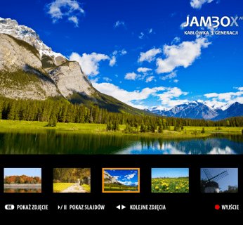 Google Picasa w JAMBOX