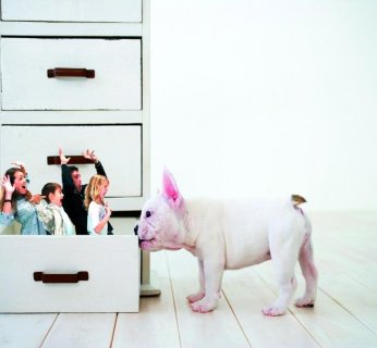 Fotomontaże, jakie można wykonać za pomocą tych funkcji, wyglądają efektownie