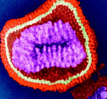 Dzięki superkomputerowym symulacjom można dla przykładu zrezygnować z testowania lekarstw na szczurach.