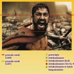 Oprogramowanie StreamEye (www.elecard.com) potrafi analizować ramka po ramce strumienie MPEG-2 i H.264. Poniżej wycinek B-Frame'a z filmu