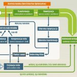 Kodek H.264 przetwarza filmy w dwojaki sposób. Makrobloki, które kompresuje jako obrazy, poddawane są transformacji i kwantyzacji. Bloki, które wyprowadza z innych ramek, muszą ulec procesom intra-predykcji, estymacji ruchu i kompensacji. W związanych z nimi ramkach przechowuje się tym celu potrzebne bloki odniesienia. Jak przebiega cały proces, wyjaśniamy dokładnie w artykule.