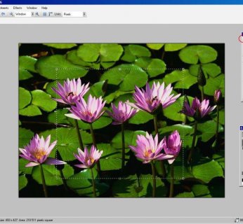 Zaznaczanie obaszaru na zdjęciu