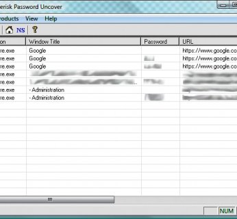 IE Asterisk Password Uncover automatycznie pokazuje zapamiętane dane logowania w przeglądarce IE.