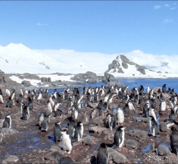 Google Street View jest już na Antarktydzie, a kiedy będzie w Polsce?