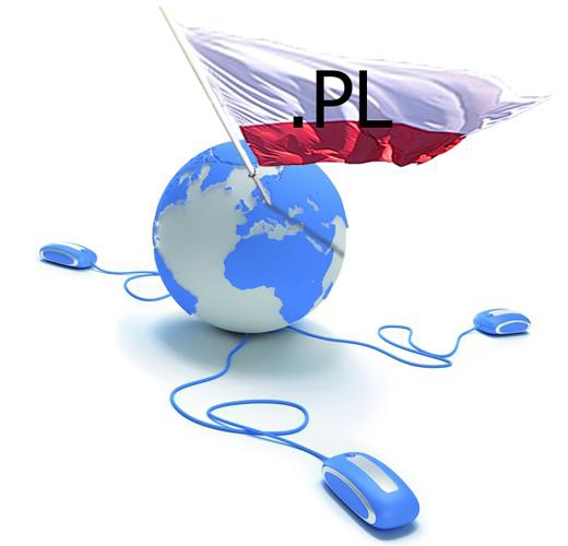 Polska pnie się do góry na domenowym rynku