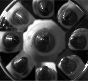 Pojedynczy obiektyw widzi obraz z dziewięciu różnych kątów