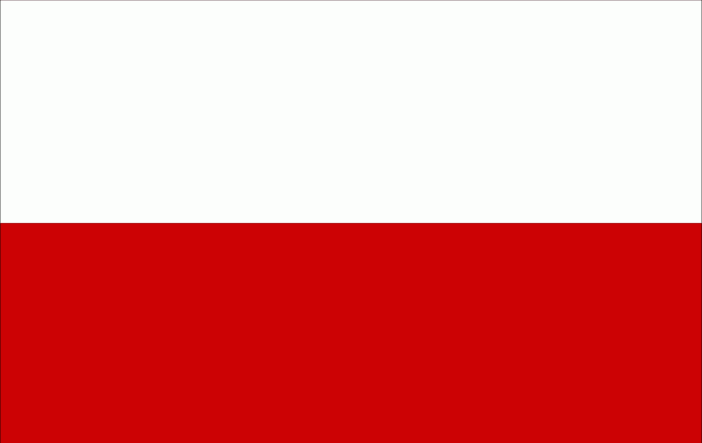Światowym standardem jest zasada, że domeny strategiczne z punktu widzenia wizerunku państwa i ważne dla jego promocji znajdują się w dyspozycji instytucji publicznej.