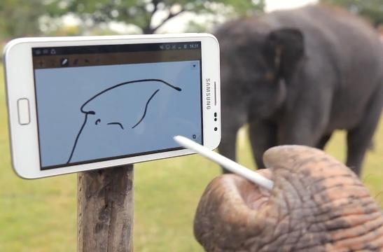 Słoń Peter rysuje na Galaxy Note
