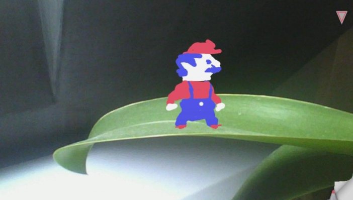 Fotka mojego kwiatka i Mario rysowany w aplikacji Paint Park