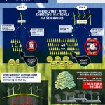 Infografiki pokazujące sytuację elektrowni wiatrowych w Polsce i Europie.
