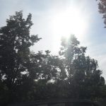 Udało nam się też sprawdzić, jak aparat radzi sobie z prześwietlonym kadrem. Mimo ekstremalnego ujęcia, szczegóły otoczenia są wciąż widoczne i do 'uratowania' Photoshopem