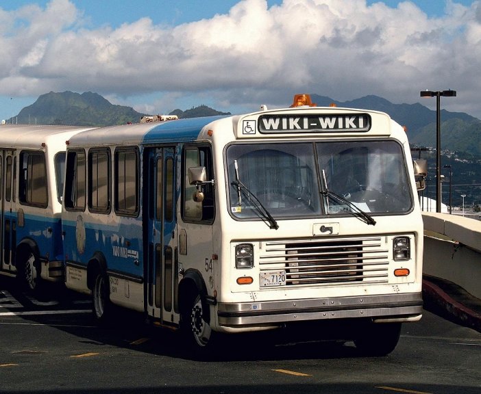 Busiki z lotniska w Honolulu podsunęły pionierowi Sieci Wardowi Cunninghamowi nazwę 'Wiki'