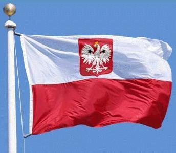 Polska wśród 5 krajów Europy najbardziej zagrożonych atakami hakerskimi