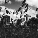 Aparat oferuje 15 wbudowanych filtrów zmieniających charakter zdjęć.