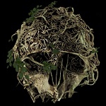 The Forest: dasz radę przetrwać w TAKIM lesie?