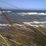 Aparat oferuje 15 wbudowanych filtrów zmieniających charakter zdjęć.