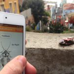 RoboRoach: pierwszy na świecie działający system zdalnego sterowania karaluchami, który można kupić.