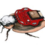 RoboRoach: pierwszy na świecie działający system zdalnego sterowania karaluchami, który można kupić.