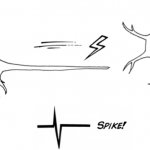 RoboRoach: pierwszy na świecie działający system zdalnego sterowania karaluchami, który można kupić.