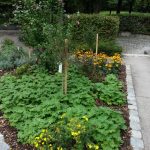 Zdjęcie wykonane w plenerze: Fotografia przekonuje mocnymi kolorami i dużą szczegółowością.