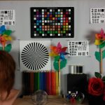 Zdjęcie laboratoryjne wykonane przy świetle dziennym: Obraz jest trochę za ciemny, ale za to bardzo ostry.