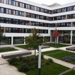 Zdjęcie wykonane w plenerze: Niektóre partie obrazu są lekko nieostre i pokryte zauważalnym szumem, ale generalnie zdjęcie jest szczegółowe i ma naturalne kolory.