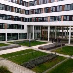 Ostrość, kontrast i sposób oddania barw nadają zdjęciu naturalny wygląd.