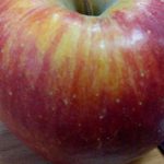 Niezależnie od ustawień, lampy błyskowej czy warunków oświetleniowych, zdjęcia prezentują się dość kiepsko