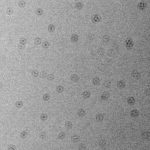 Fragmenty zdjęć z widocznymi na nich efektami powodowanymi przez zabrudzenia matrycy.