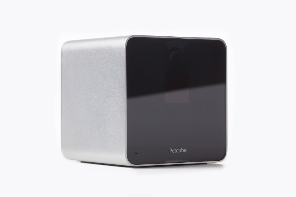 Petcube Camera: gadżet, o którym marzył każdy właściciel czworonoga