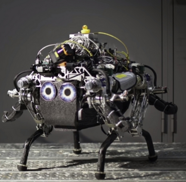 Wzorowa współpraca drona i chodzącego robota