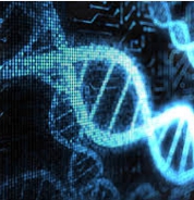 Programowanie genetyczne: Ewolucja kodu
