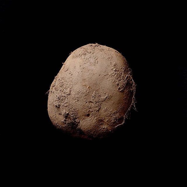 To zdjęcie ziemniaka sprzedano za 1 milion euro!