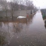 Zdjęcia przedstawiające sytuację podtopionego Schroniska dla zwierząt w Korabiewicach