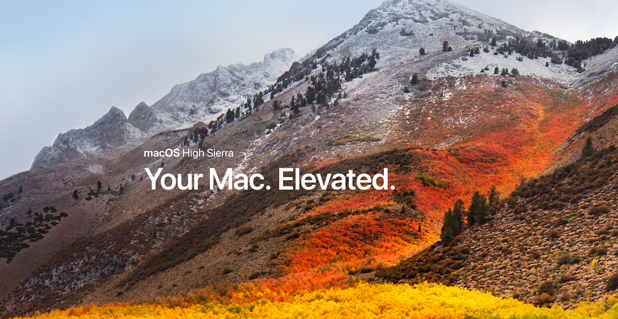 MacOS 10.13 High Sierra
