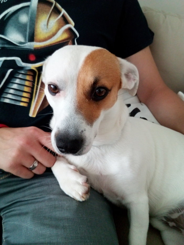 Tryb normalny, bez wsparcia dodatkowego aparatu