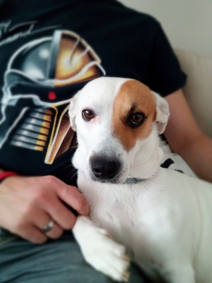 Tryb podwójnego aparatu