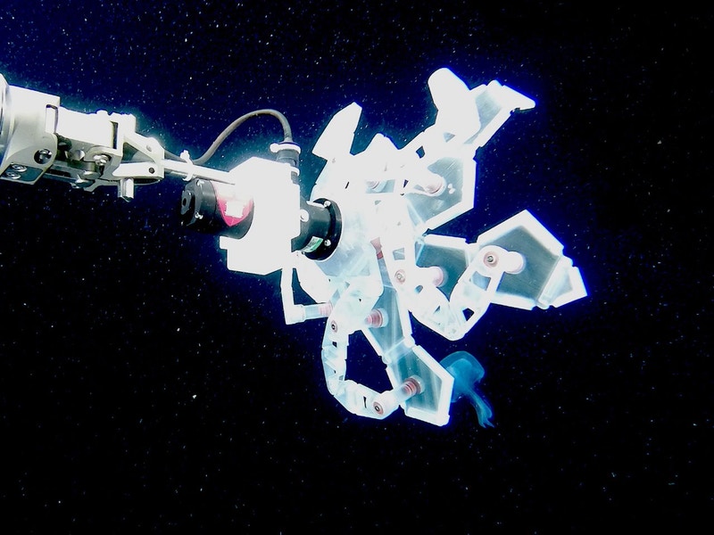 Robotyczne ramię do chwytania delikatnych morskich zwierząt