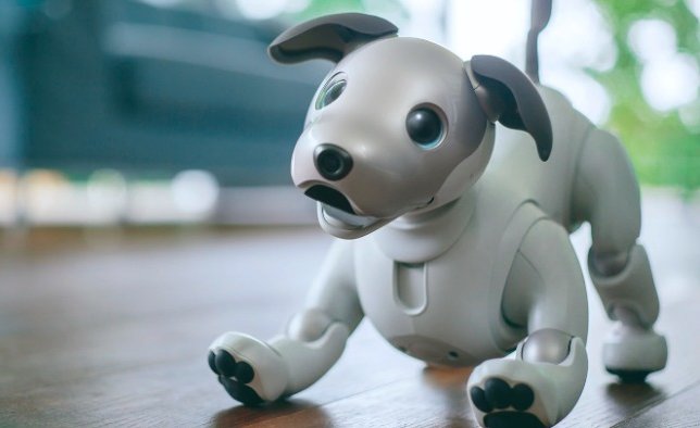 Sony Aibo – robotyczny pies z SI