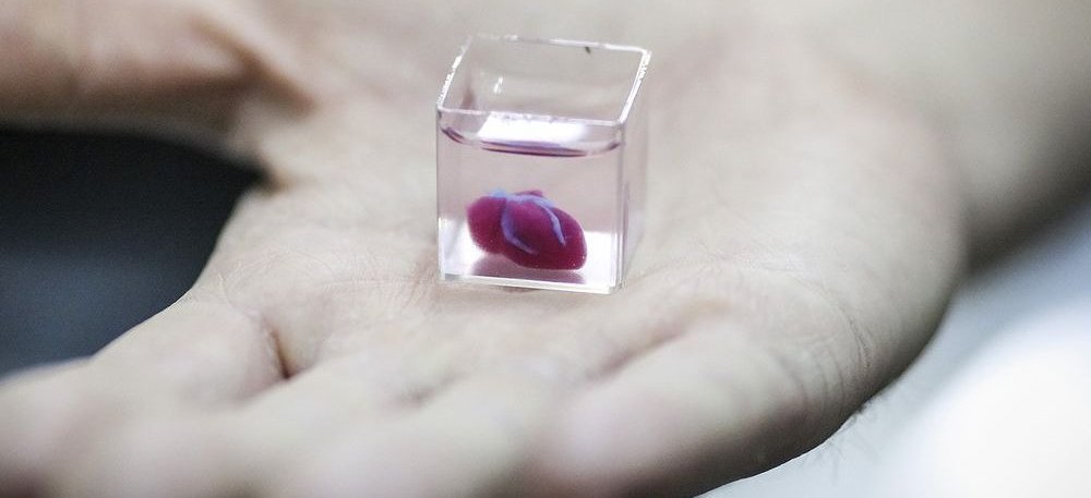 Naukowcy stworzyli za pomocą drukarki 3D organiczne serce