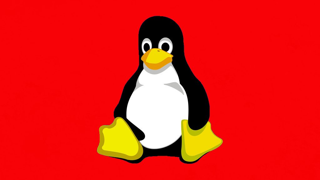 Linuxowy wirus HiddenWasp – ślad prowadzi do Chin